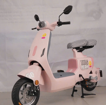 XE ĐIỆN TAILG-GR55