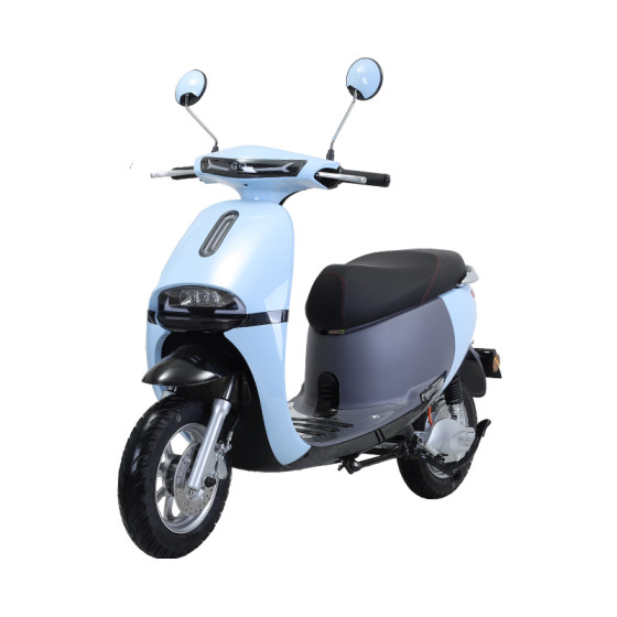 XE MÁY ĐIỆN TAILG R31