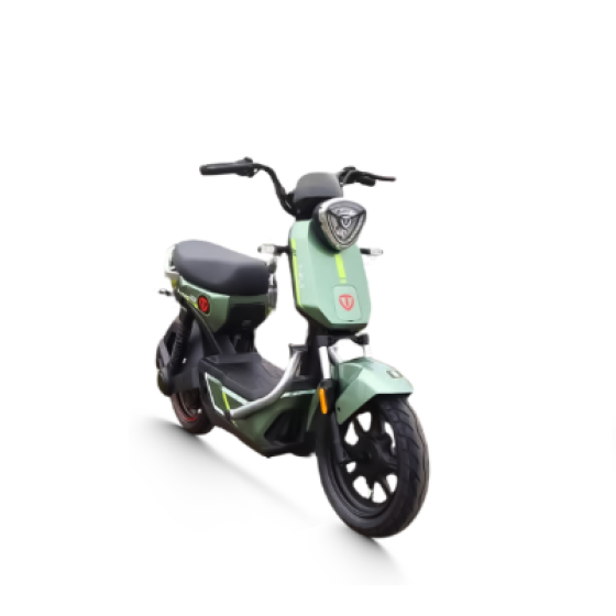 Xe đạp điện TAILG GX30