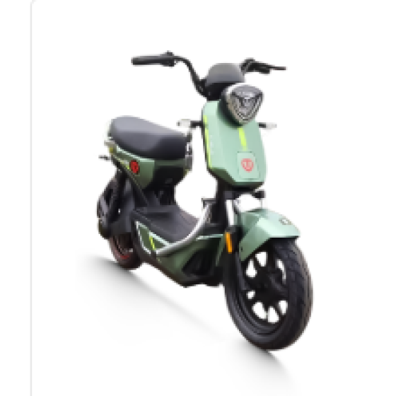 Xe đạp điện TAILG GX30