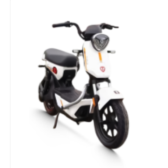 Xe đạp điện TAILG GX30