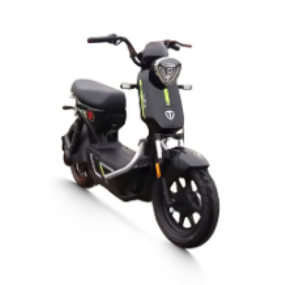 Xe đạp điện TAILG GX30