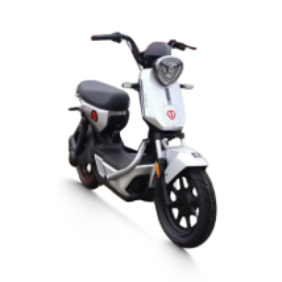 Xe đạp điện TAILG GX30