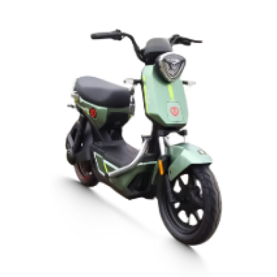 Xe đạp điện TAILG GX30