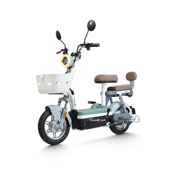 XE ĐẠP ĐIỆN TAILG JY33