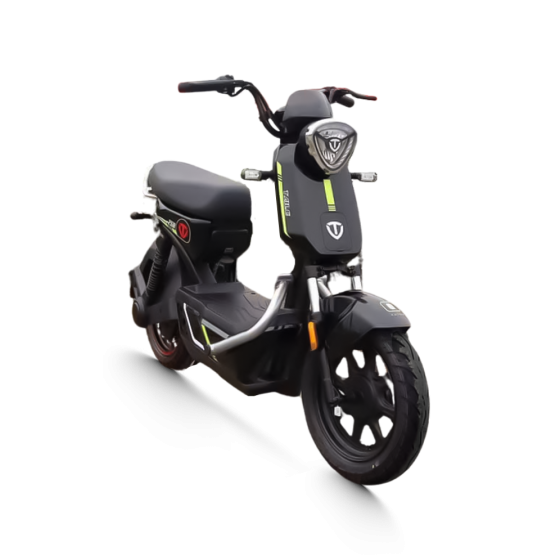 XE MÁY ĐIỆN TAILG GX30