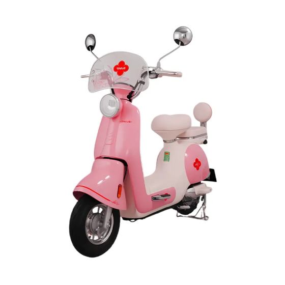 XE MÁY ĐIỆN TAILG JS50