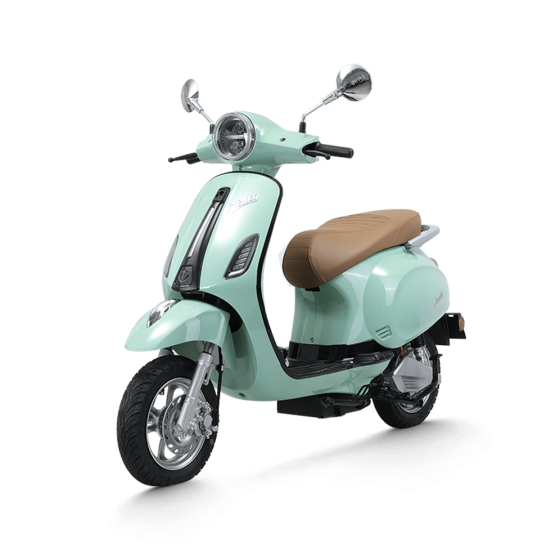 XE MÁY ĐIỆN TAILG R51
