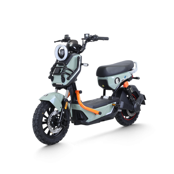 XE ĐẠP ĐIỆN TAILG X51