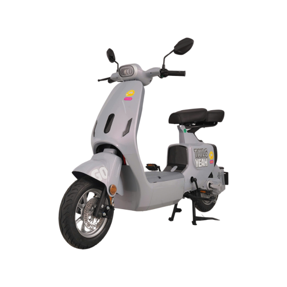 XE ĐẠP ĐIỆN TAILG GR55