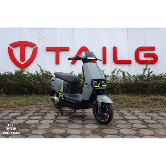 XE MÁY ĐIỆN TAILG F52