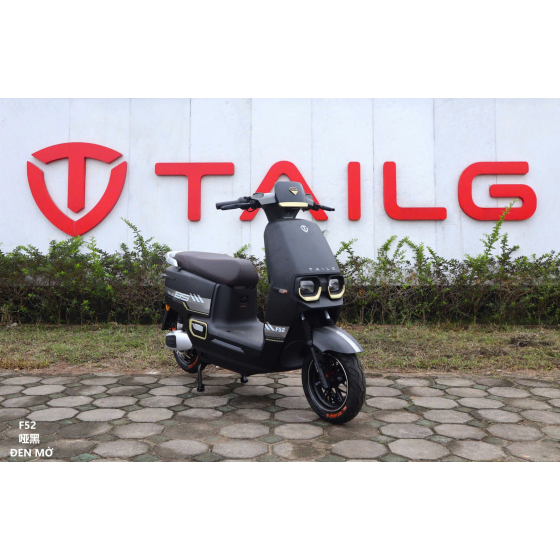 XE MÁY ĐIỆN TAILG F52