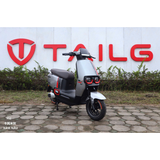 XE MÁY ĐIỆN TAILG F52