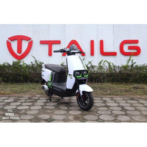 XE MÁY ĐIỆN TAILG F52