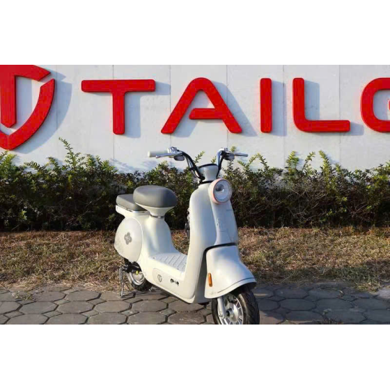 XE MÁY ĐIỆN TAILG JS50