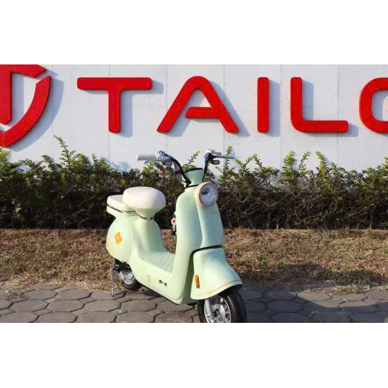 XE MÁY ĐIỆN TAILG JS50