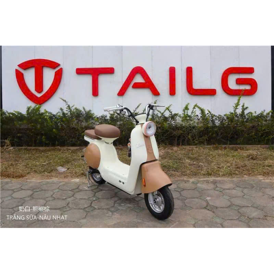 XE MÁY ĐIỆN TAILG JS50