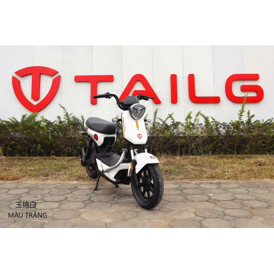 XE MÁY ĐIỆN TAILG GX30