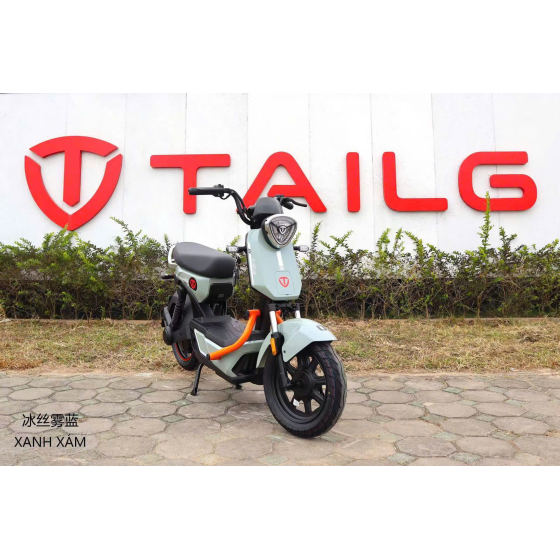 XE MÁY ĐIỆN TAILG GX30