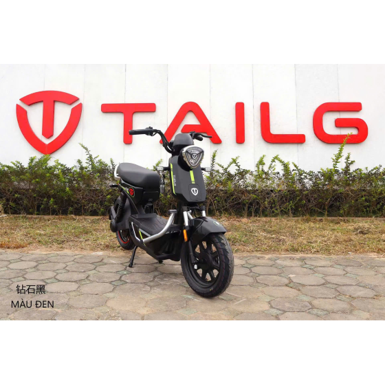 XE MÁY ĐIỆN TAILG GX30