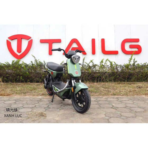 XE MÁY ĐIỆN TAILG GX30