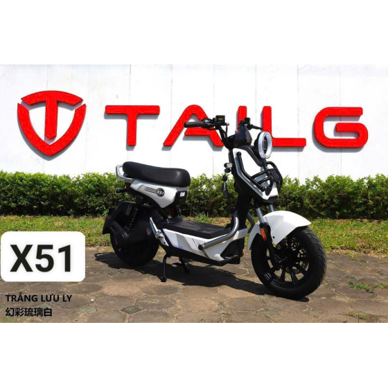 XE ĐẠP ĐIỆN TAILG X51
