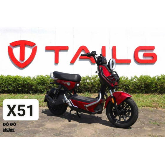 XE ĐẠP ĐIỆN TAILG X51