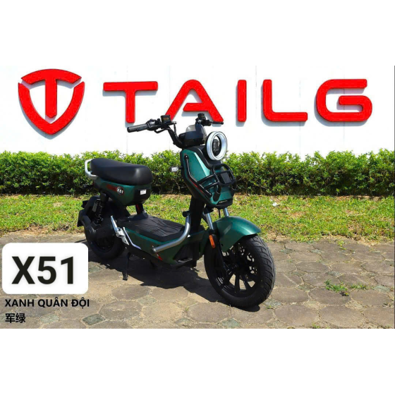 XE ĐẠP ĐIỆN TAILG X51