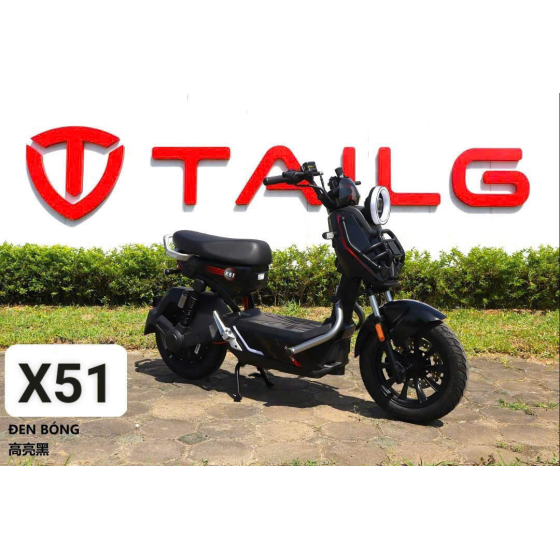 XE ĐẠP ĐIỆN TAILG X51