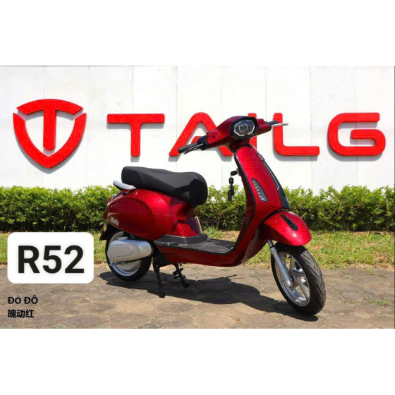 XE MÁY ĐIỆN TAILG R52