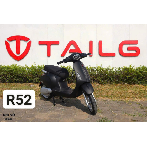 XE MÁY ĐIỆN TAILG R52
