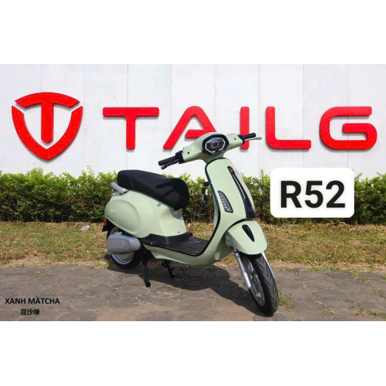 XE MÁY ĐIỆN TAILG R52