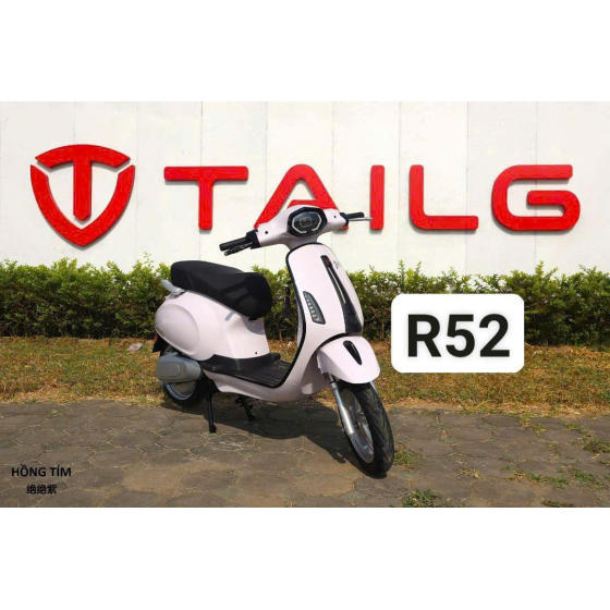 XE MÁY ĐIỆN TAILG R52