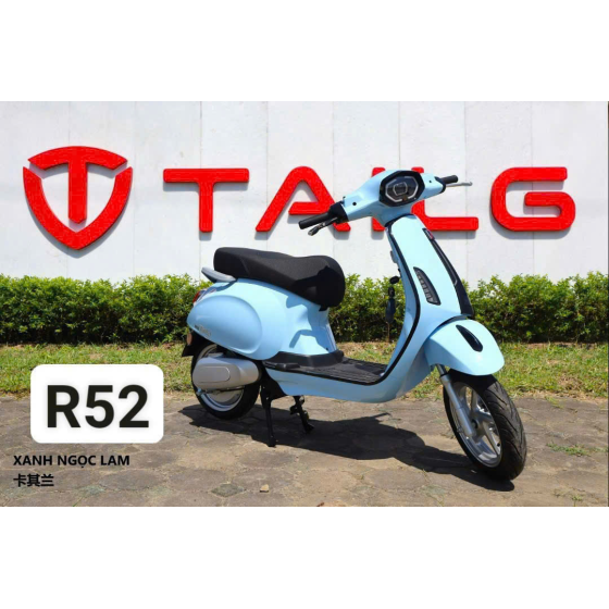 XE MÁY ĐIỆN TAILG R52