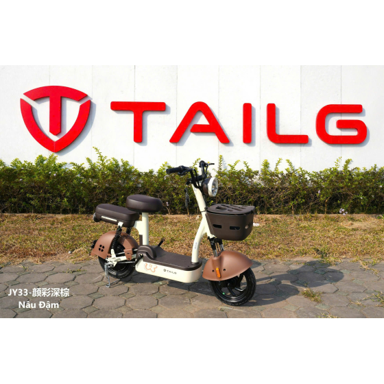 XE ĐẠP ĐIỆN TAILG JY33