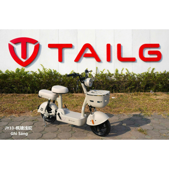 XE ĐẠP ĐIỆN TAILG JY33