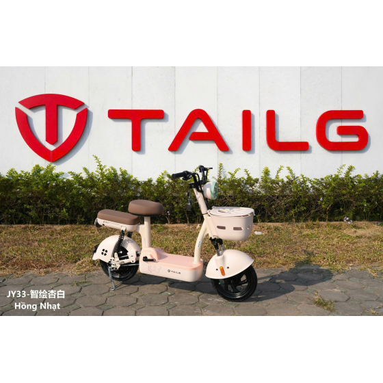 XE ĐẠP ĐIỆN TAILG JY33