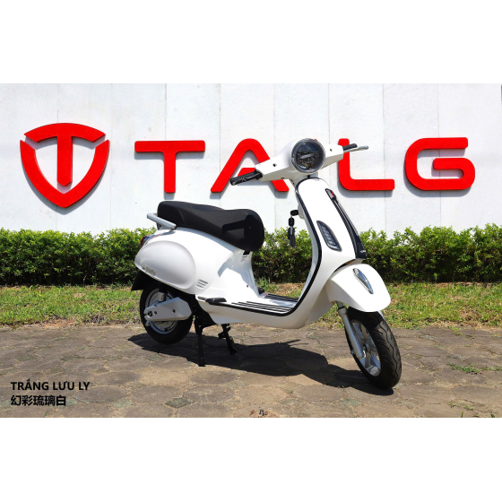 XE MÁY ĐIỆN TAILG R51