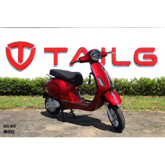 XE MÁY ĐIỆN TAILG R51