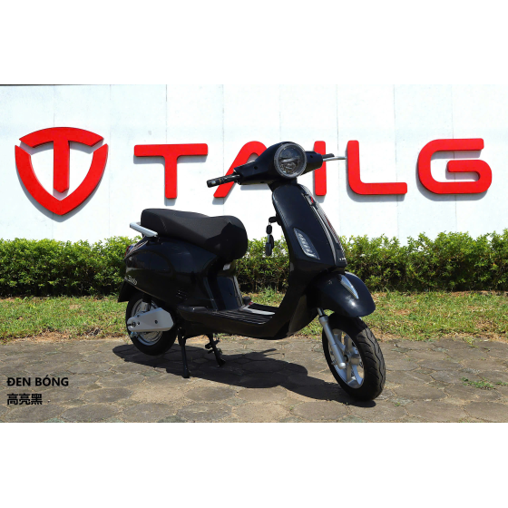 XE MÁY ĐIỆN TAILG R51