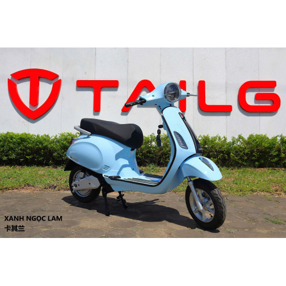 XE MÁY ĐIỆN TAILG R51