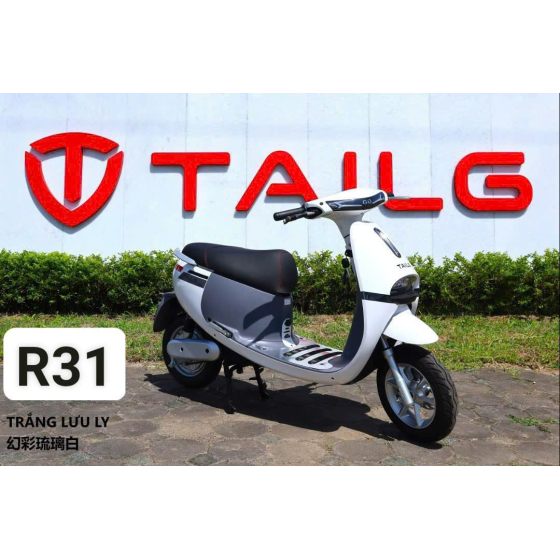 XE MÁY ĐIỆN TAILG R31