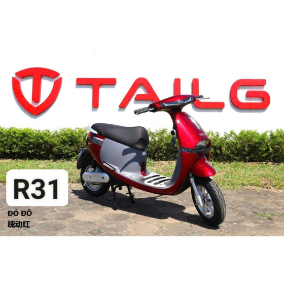 XE MÁY ĐIỆN TAILG R31