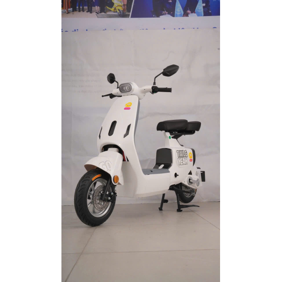 XE ĐẠP ĐIỆN TAILG GR55