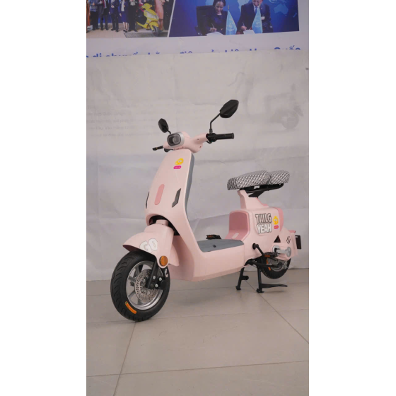 XE ĐẠP ĐIỆN TAILG GR55