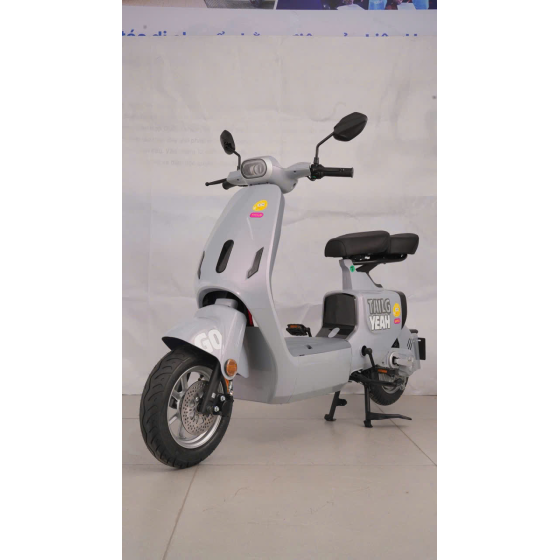 XE ĐẠP ĐIỆN TAILG GR55