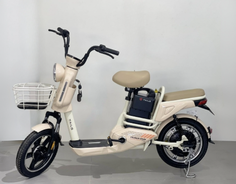 xe đạp điện giá rẻ tại Thủ Đức