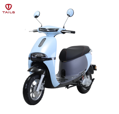 XE MÁY ĐIỆN TAILG R31