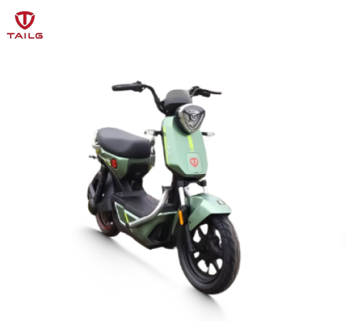 Xe đạp điện TAILG GX30