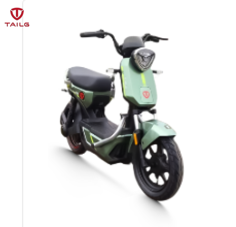 Xe đạp điện TAILG GX30